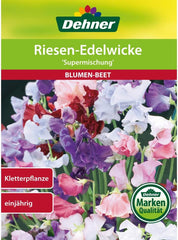 Dehner Blumen-Saatgut, Riesen-Edelwicke "Supermischung", 5Er Pack (5 X 10 G)