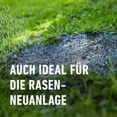 Compo SAAT® Trocken-Rasen 2Kg Für 80M²