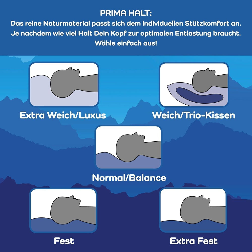 LINEA by Böhmerwald - Cosy - Pernă de înaltă calitate Balance, 80X80, 70% pene clasa 1, 30% puf nou, potrivit pentru alergici, lavabil până la 60°C, produs în Germania Perne standard Naty Shop