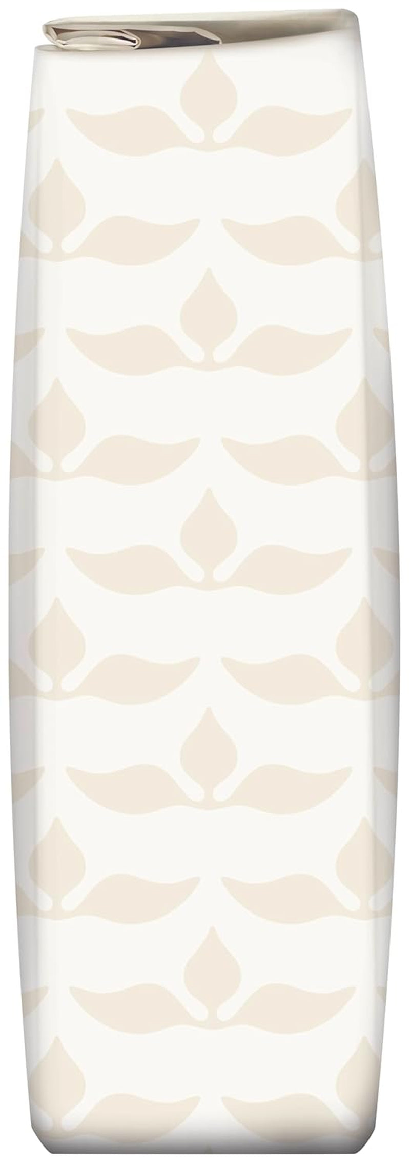 Fuchs Professional - Zwiebelpulver | Schonend verfahrett, zum Würzen von herzhaften Gerichten | Profi-Qualität für Großverbraucher und Gastronomie | 1 kg v recyklovatelném pytli