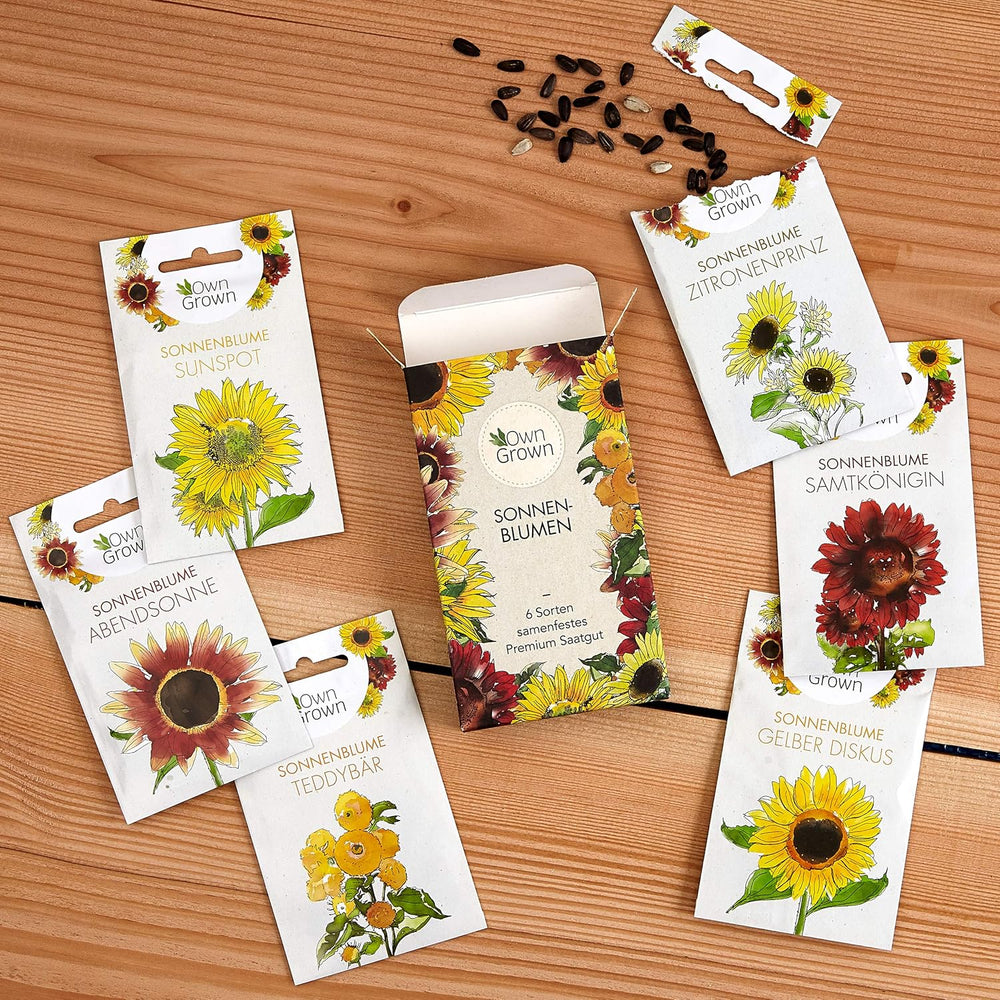 Slunečnicová semínka žlutého disku (Helianthus annuus): Prémiová slunečnicová semínka, slunečnicová semínka pro pěstování asi 20 slunečnicových rostlin – semena květin přátelská k hmyzu z vlastních pěstovaných rostlin