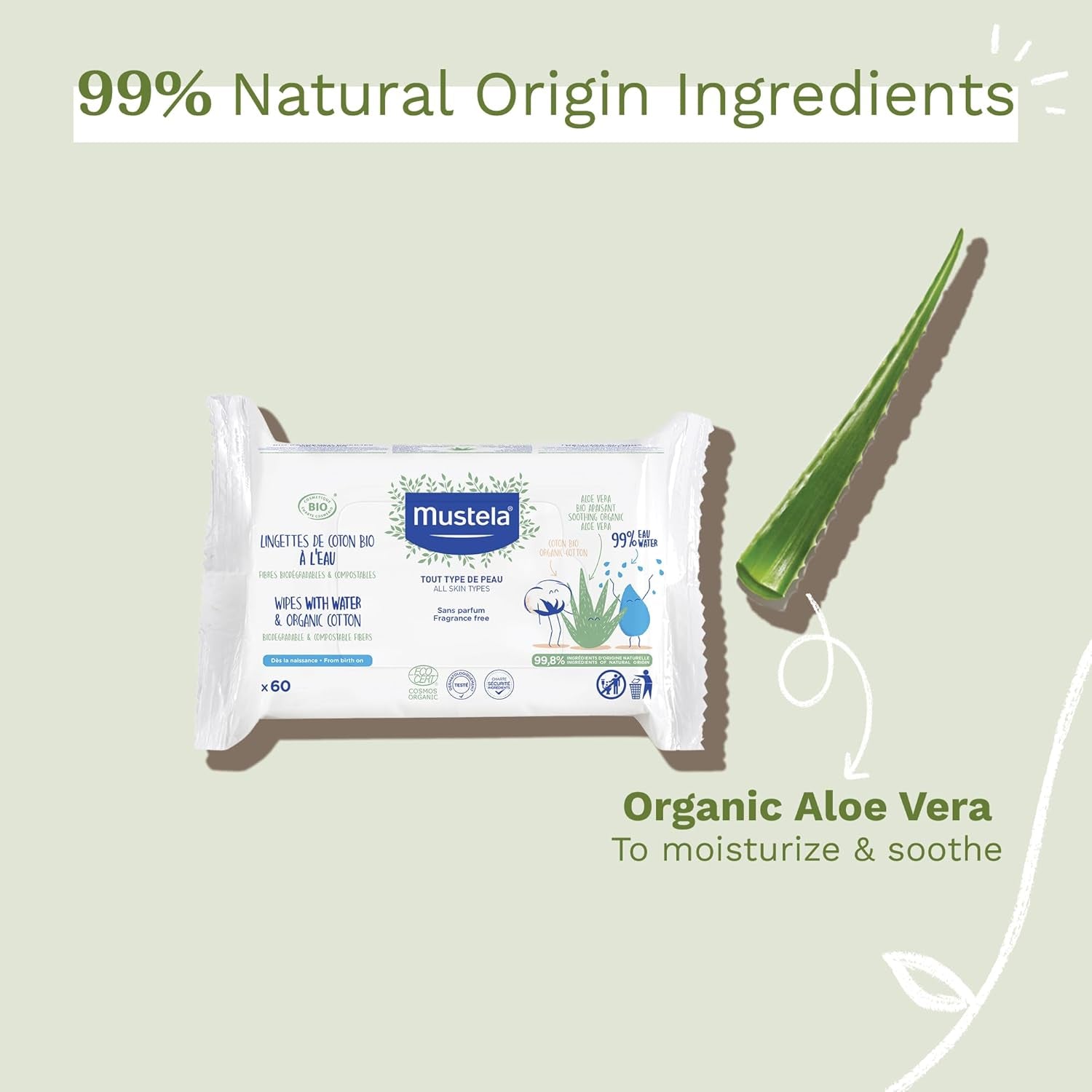 Lingette Coton À L'Eau 60 ks