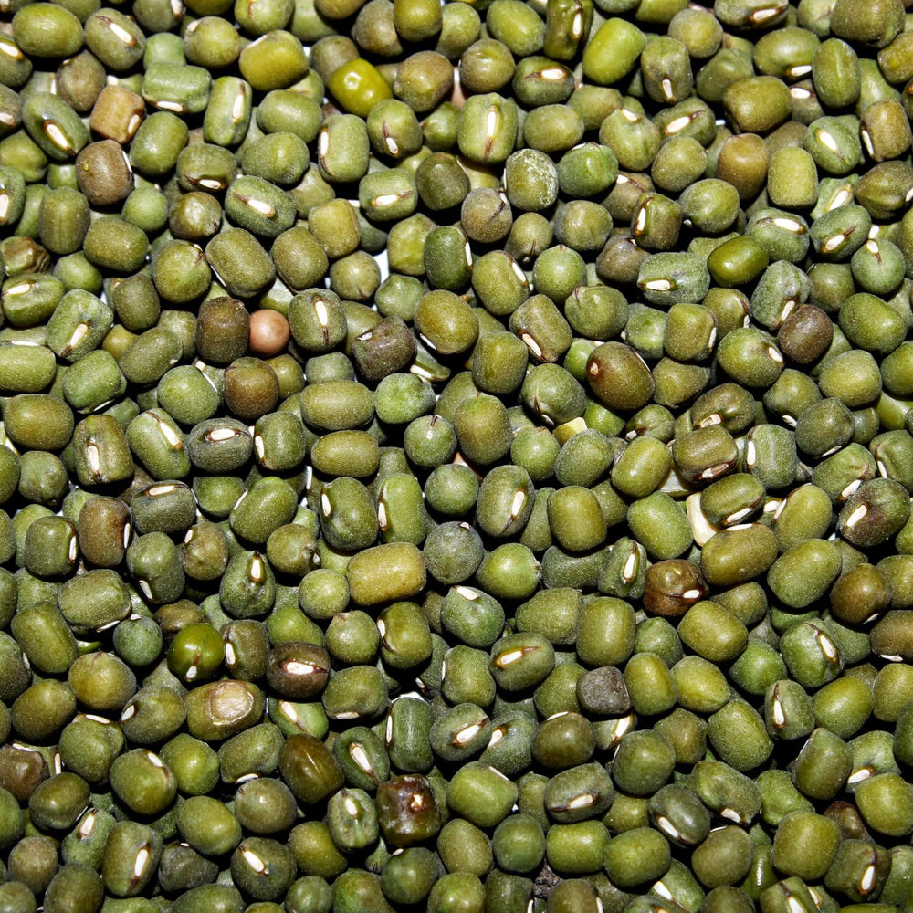 AFROASE - Mungo zelené fazolky - 1 x 1 kg (balení po 2 kusech)