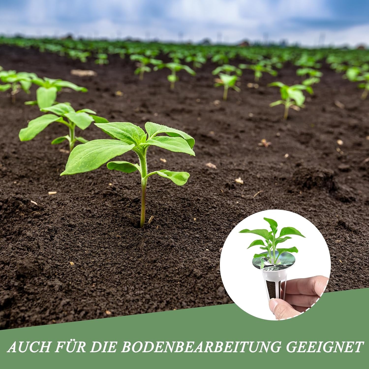 125 pěstebních houbiček, 50 náhradních pěstebních houbiček, příslušenství hydroponického startovacího systému s 50 štítky, 12 izolačními uzávěry, 12 košíky na rostliny, 1 pinzetou