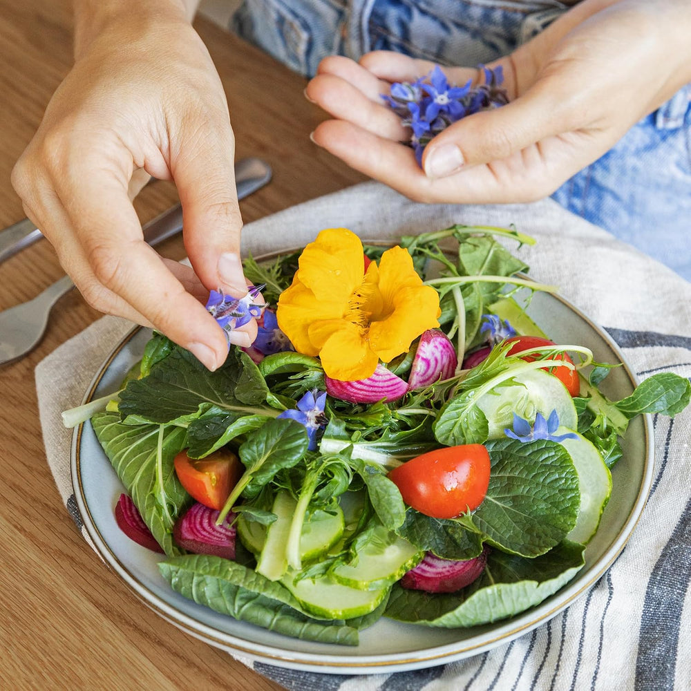 Essbare Blumen Samen Set : Delikatess Blumen Blumensamen Set se 6 Sorten Blumen Saatgut – Essbare Blumen Samen – Essbare Blumen für Torte – Essbare Blüten Tortendeko – Blumen Essbar von OwnGrown