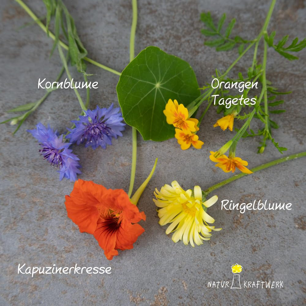 Blumensamen-Geschenkset GOURMET BLUMEN - 4 Sorten Essbare Blüten, Mit Biologischem Starterdünger