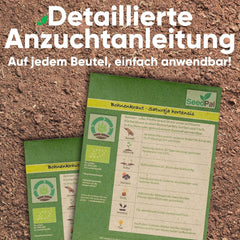 Kräutersamen Set - 12 Beliebtesten Küchenkräuter - Kräuter der Provence, Ital Kräuter - Kräutergarten für Küche oder Balkon - Samen Saatgut - Gartenkräuter Sorten