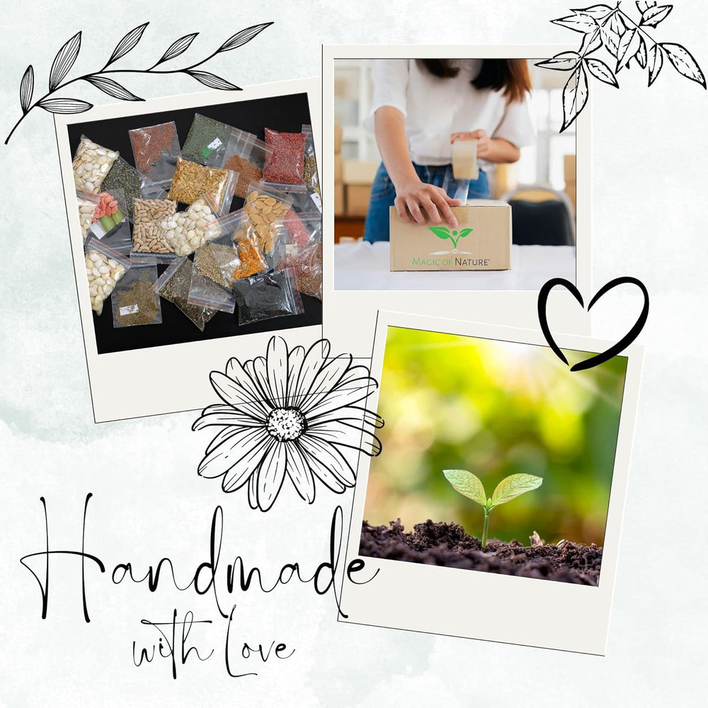 Kouzlo přírody Oma's Küchenkräuter Box - Anzuchtset - 5 Sorten frische Kräuter Samen - Zum Selberzüchten oder zum Verschenken