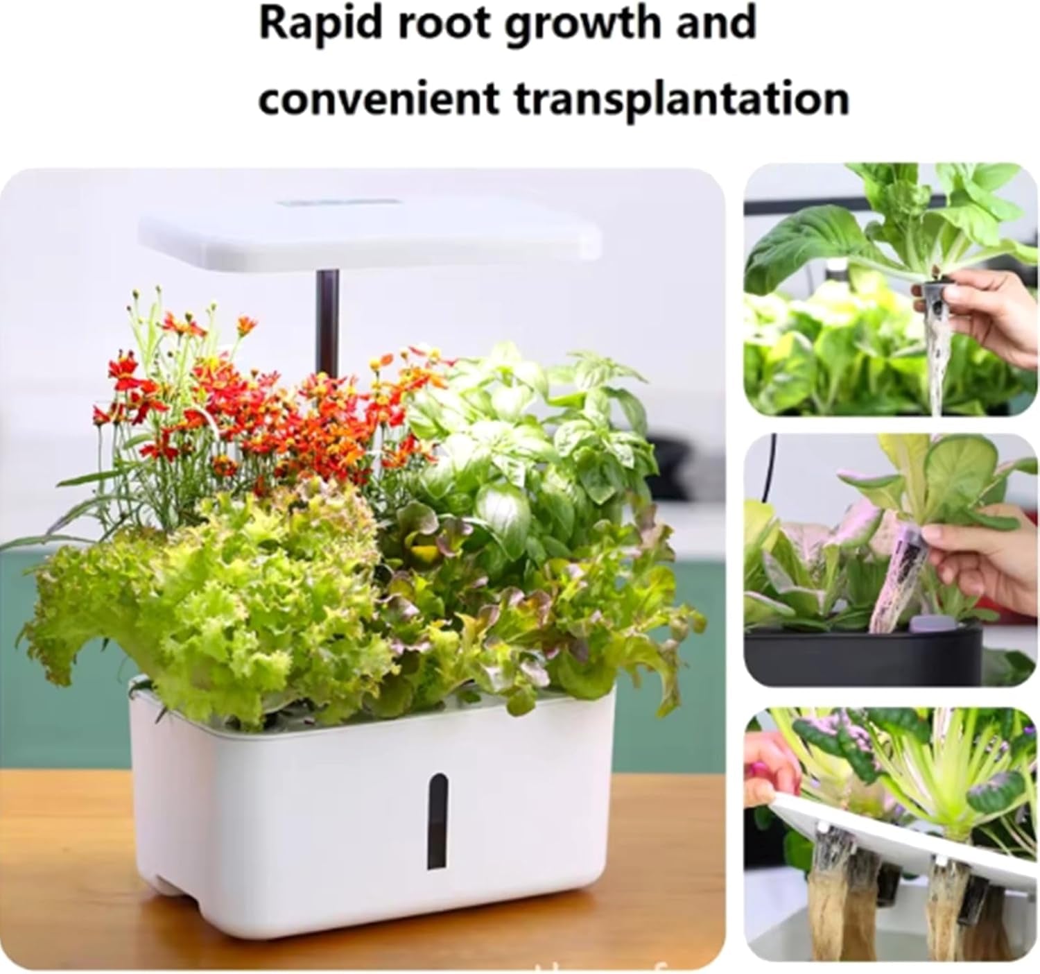 50 náhradních pěstebních houbiček, trubek pro zakládání semen, hmoždinek pro pěstování kořenů, sad pro hydroponické pěstování pro systémy hydroponického pěstování, vnitřní hydroponie, zahrada