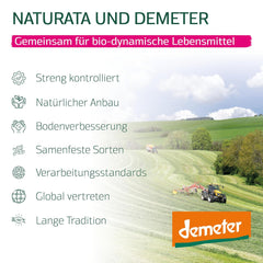 BIO celošpaldové pláty lasagní, 250g | Demeter kouzlo ze Švábských Alp | Jemná ořechová příchuť pro lasagne a kastrol