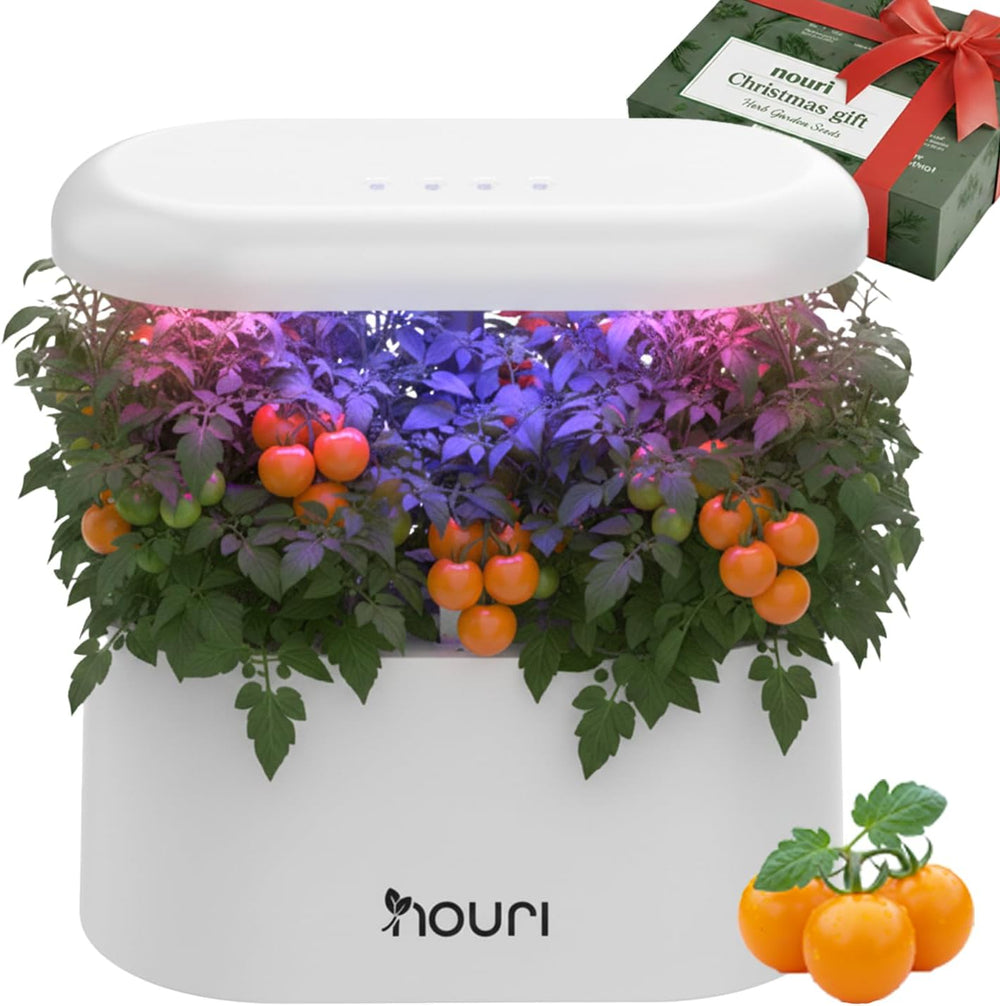 Nový 7 most + Heirloom Basil | Chytrá zahrada pro domácí kuchaře | Hydroponický pěstební systém | LED růstová světla | Sada pro pokojové bylinkové zahradnictví pro milovníky rostlin a zahradníky, bílá