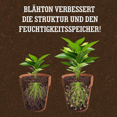 LERAVA® Expanded Clay (1L) – Jílové granule pro pokojové rostliny a hydroponii – Rostlinný jíl s neutrálním pH pro optimální odvodnění – Ideální jako drenážní vrstva nebo dekorativní jílové granule pro rostliny