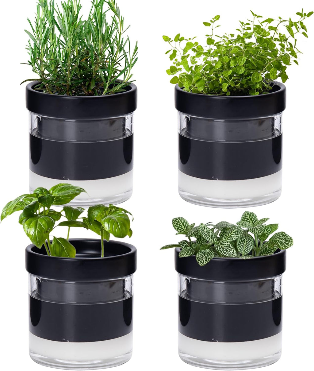 Ghiveci cu auto-udare, 15,2 cm, ghiveci din teracotă cu rezervor de sticlă pentru plante de apartament, ierburi aromatice, flori, 52-AF