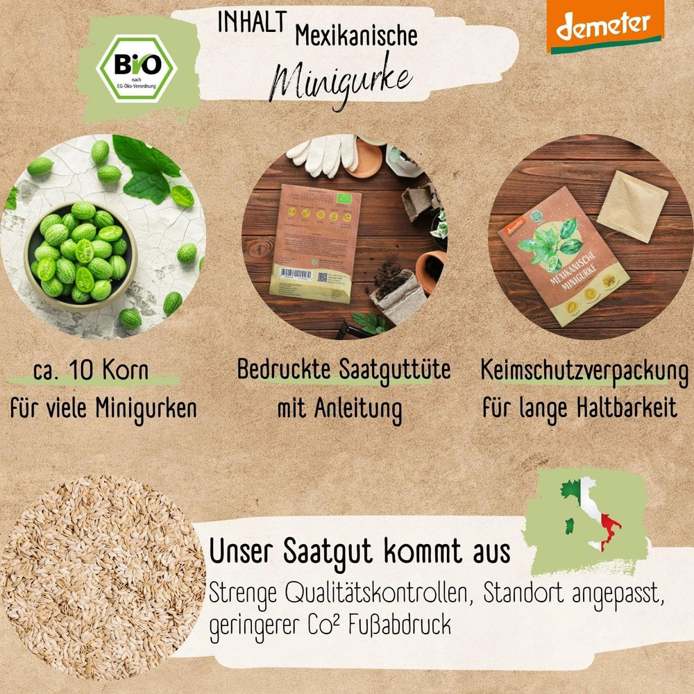 Bio mini semena mexické okurky, 10 svačinových semen okurky, vysoká klíčivost, certifikace Demeter a otevřená opylování | LOVEPLANTS Semena zeleniny na balkónové zahradě - dědičné odrůdy zeleniny