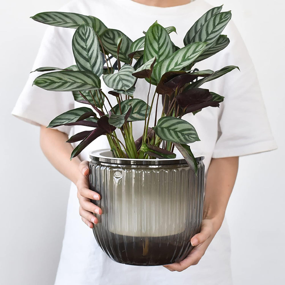 Sada 2 samozavlažovacích závěsných květináčů, 16,5 cm vnitřní závěsný květináč se 3 háčky a drenážními otvory pro vnitřní a venkovní použití, dekorace na strop, balkon a stěnu (šedá)