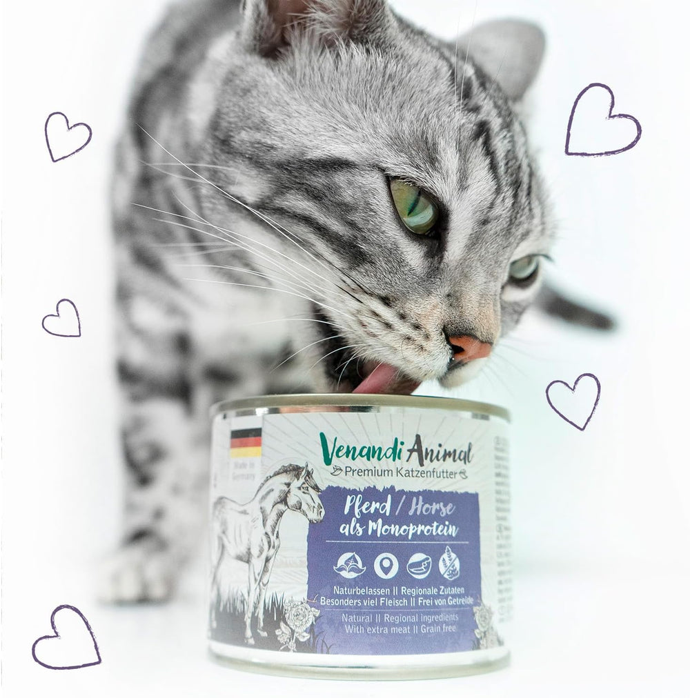Venandi Animal - Hrană umedă premium pentru pisici - Cal ca monoproteină, pachet de 12 (12 x 125 g), fără cereale, monoproteină