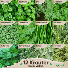 Kräutersamen Set - 12 Beliebtesten Küchenkräuter - Kräuter der Provence, Ital Kräuter - Kräutergarten für Küche oder Balkon - Samen Saatgut - Gartenkräuter Sorten