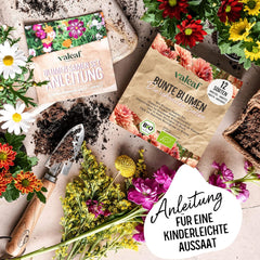 Sada organických květinových semínek | 12 druhů semen květin | Prémiová semena květin | Wildflower Seed Plant Set Seed | Semena květin | Semena květin na balkon | Ideální dárek se semeny květin