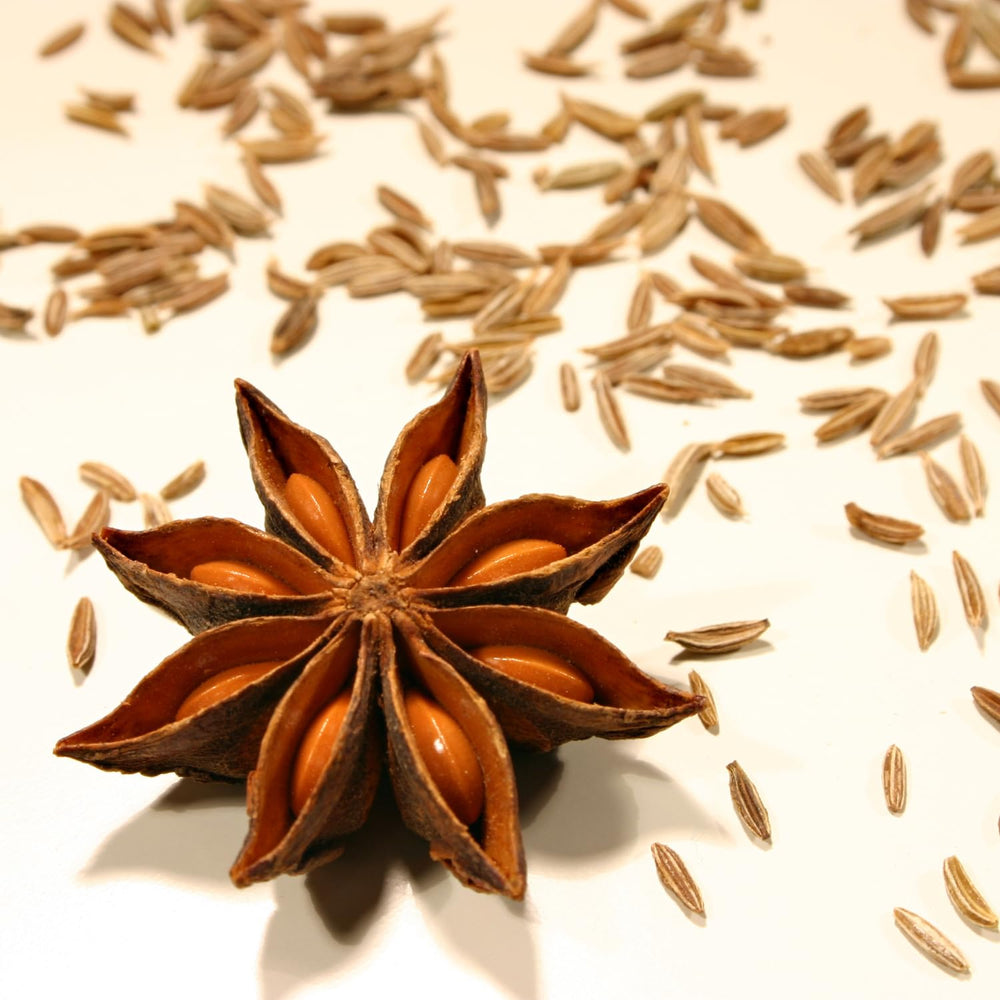 - Fünf Gewürze prášek, (1 X 50 GR)