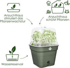 elho Green Basics Ghiveci Pătrat pentru Răsaduri Allin1 15 - Ghiveci pentru Flori pentru Cultivare - 100% Plastic Reciclat - Ø 15.0 x H 12.1 cm - Verde/Verde Frunză