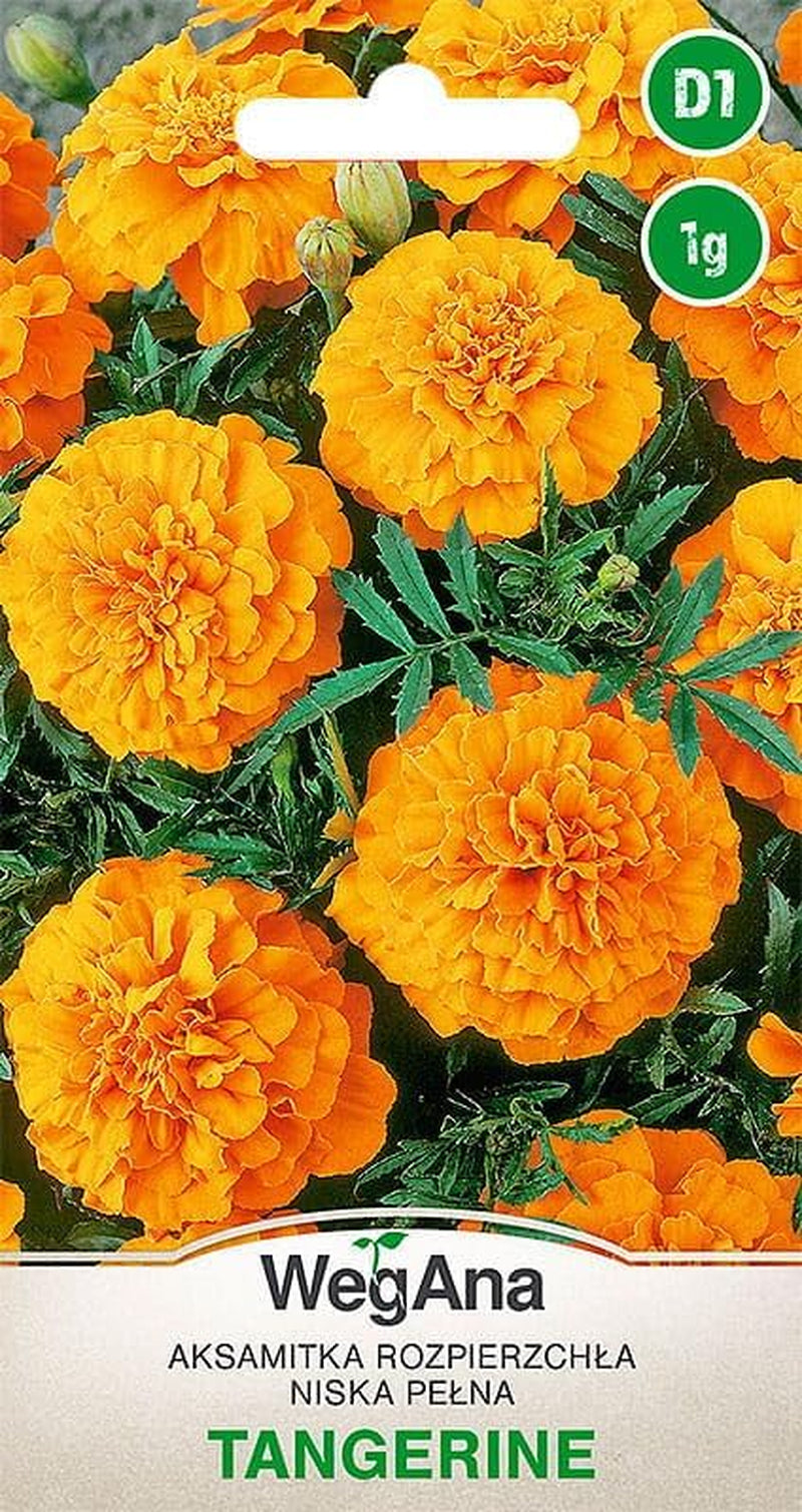 Cosmos Sensation Mix 1g semínek, Cosmos Mix Letní květiny, Zahradní rostliny Balkonové rostliny, Květinová semena