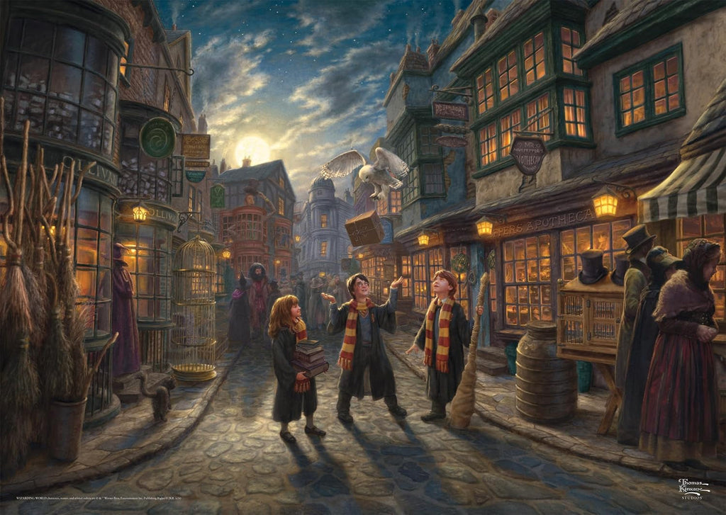 Lumea vrăjitorilor, Harry Potter, Diagon Alley Puzzle Naty Shop