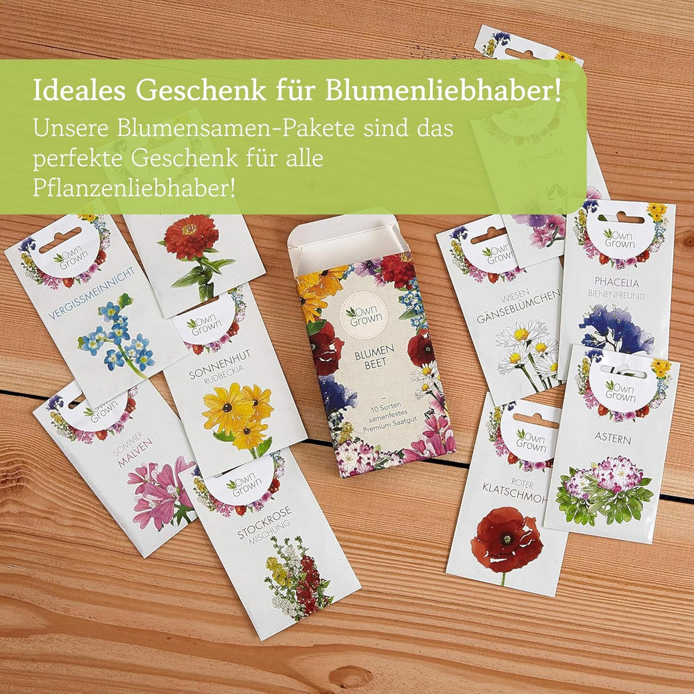 Semena echinacey: Prémiová semínka žluté echinacey pro asi 20 kvetoucích rostlin echinacey – Semena rudbeckie – Hardy Rudbeckia – Trvalky Echinacea – Hardy trvalky od OwnGrown