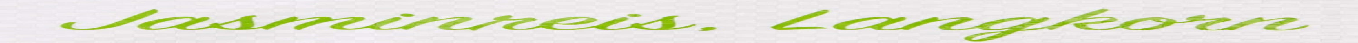 RICEFIELD vonná rýže dlouhozrnná, 1 balení (1 x 18 kg)