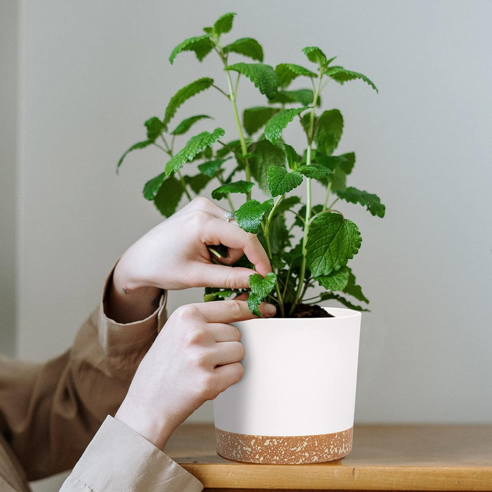 12,7 cm sada 2 květináčů, vnitřní květináče s drenážními otvory a odnímatelnou základnou, moderní dekorativní podšálky pro venkovní zahradní květináče (bílé 12,7 cm)