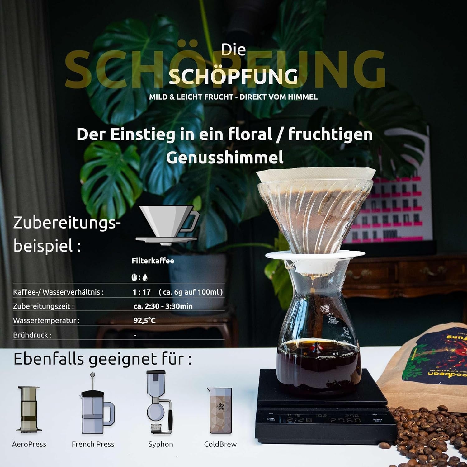 Die Schöpfung | blumig, fruchtig, feine Säure | milde & harmonische Kaffeebohnen | 500g | 100% Arabica | Äthiopien - Yirgacheffe | frisch geröstet | Versand direkt aus der Rösterei | Medium Roast