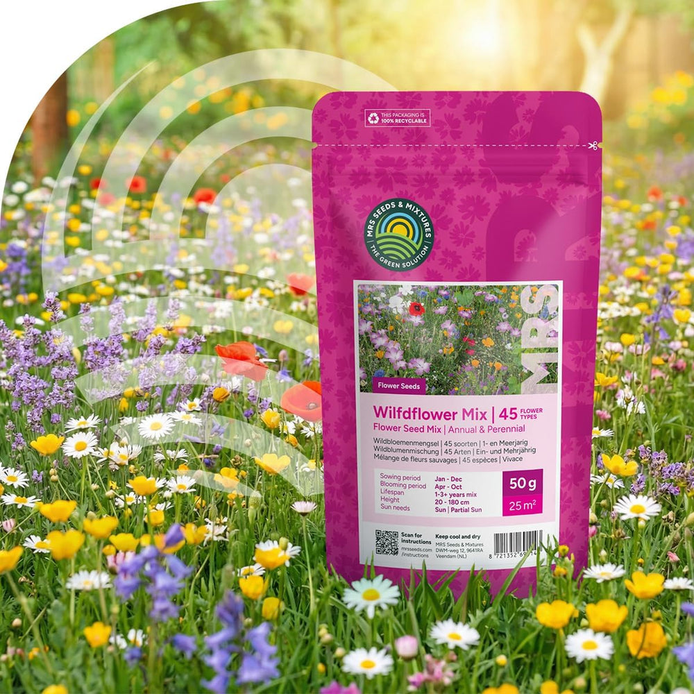Bunte Insektenfreundliche Wildblumensamen Mischung - 250 Gramm Für 125 M² - Einjährige & Mehrjährige Blumenmischung - Für Wildbienen, Hummeln & Schmetterlinge - Schnelle Aussaat - MRS Seeds