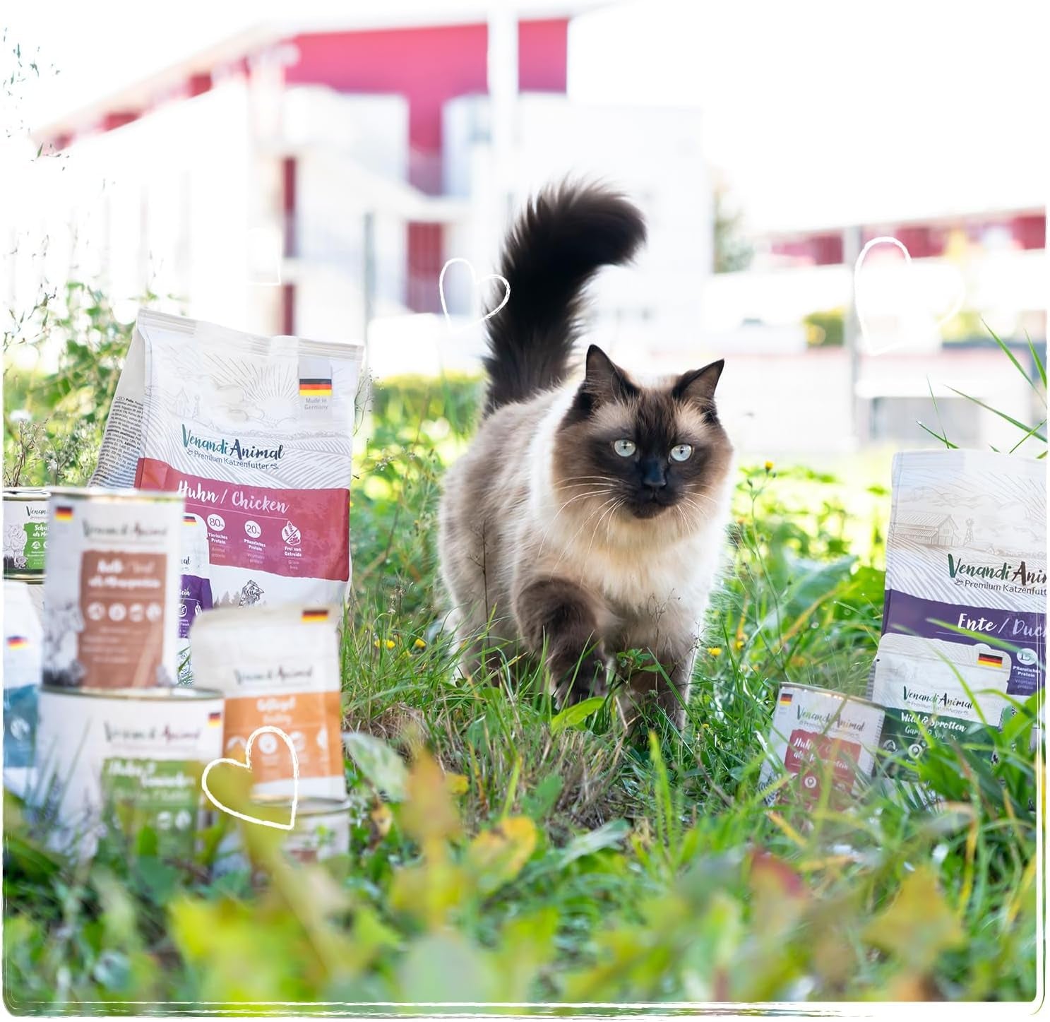 Venandi Animal - Premium Nassfutter für Katzen, Probierpakett I, Huhn, Pute, RInd, 6 x 200 g (6er Pack), getreidefrei und naturbelassen