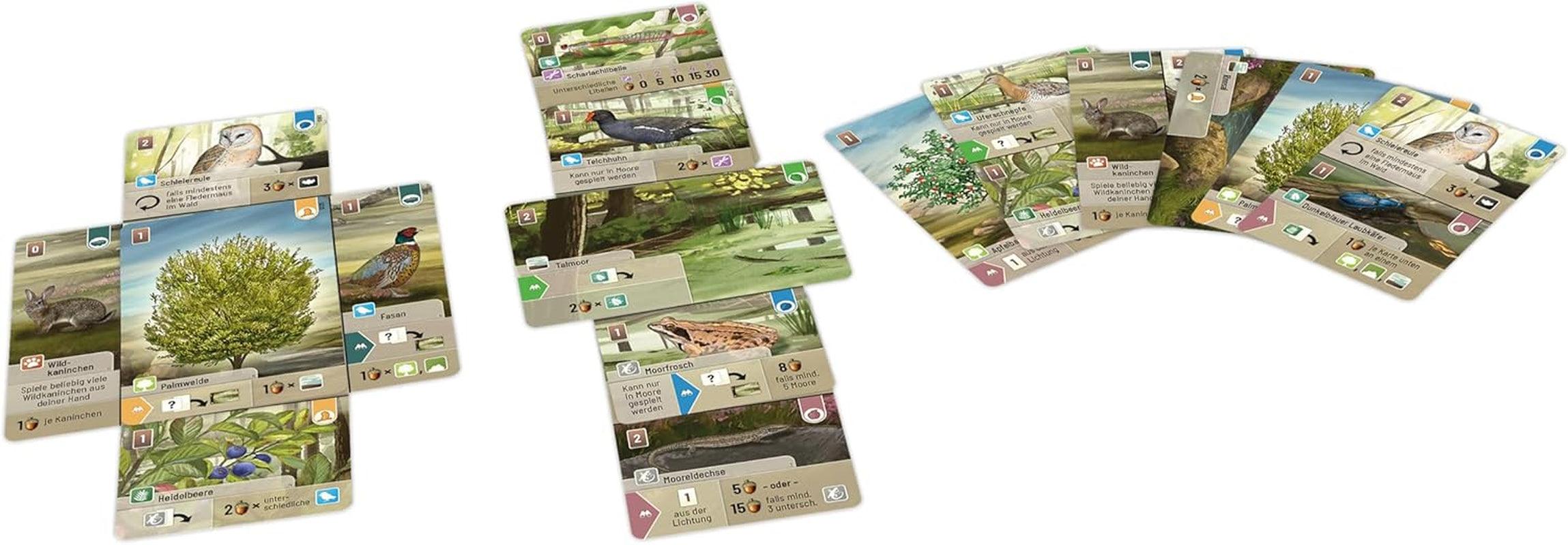 Vyhlídka, Smíšený les: Dartmoor, Základní hra, Rodinná hra, Karetní hra, 2–5 hráčů, Věk 10+, 60 minut, Němčina