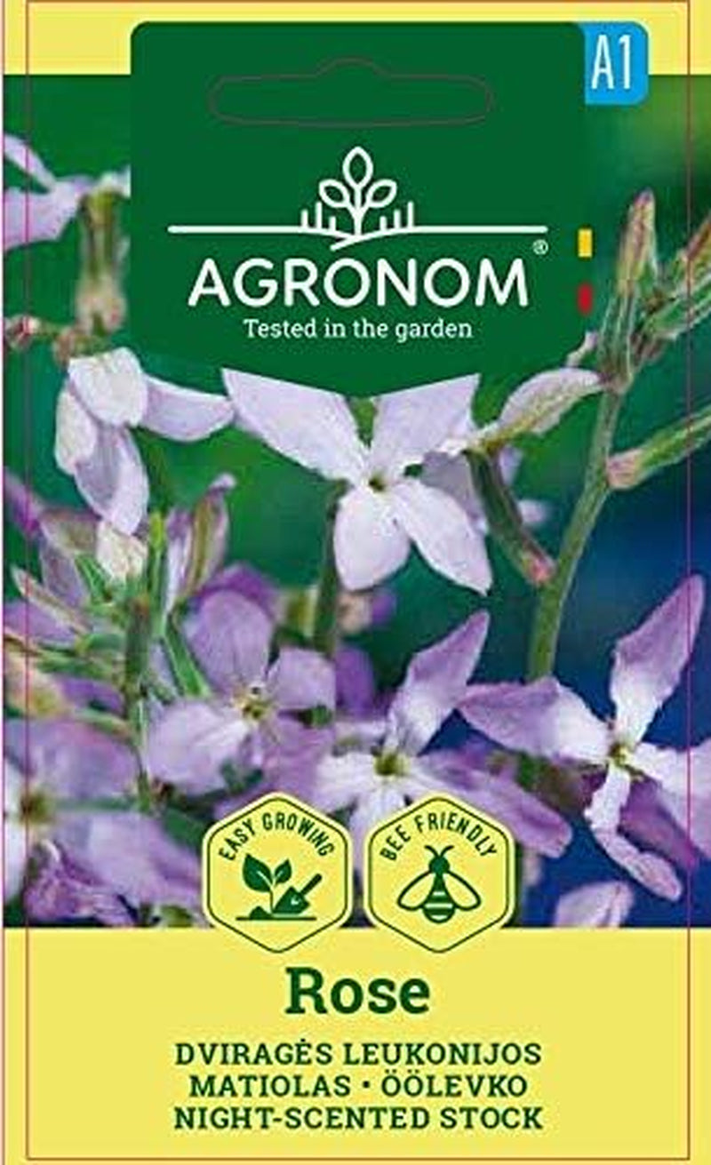 AGRONOM | Dvojrohá růže | Semena květin | Semínka růže | Jednoletá rostlina, nenáročná na pěstování | 1 balení