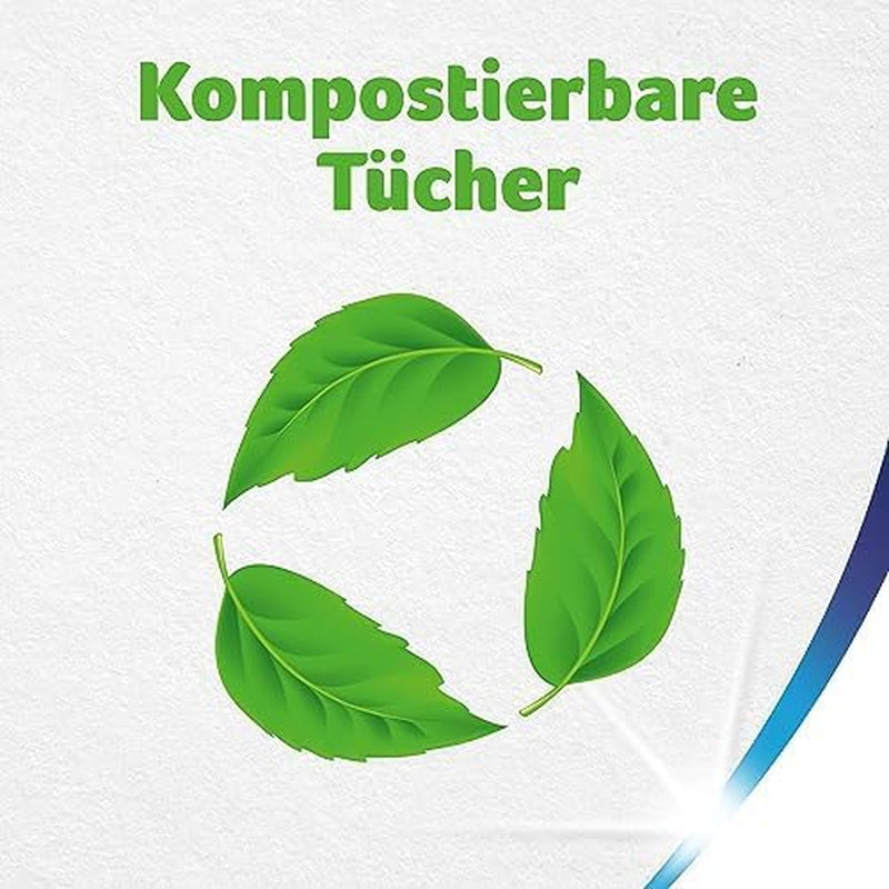 Hârtie igienică economică Zewa Wipe & Remove, 4 bucăți (pachet de 1)