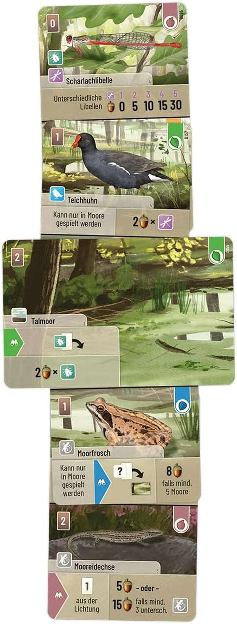 Vyhlídka, Smíšený les: Dartmoor, Základní hra, Rodinná hra, Karetní hra, 2–5 hráčů, Věk 10+, 60 minut, Němčina