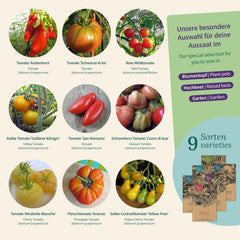 Magic Garden Seeds - Tomaten Raritäten Saatgut-Box Mit 9 Historischen Sorten - Bunte, Aromatische & Samenfeste Tomaten Für Garten, Hochbeet & Topf - Mit Geschichte & Geschmack