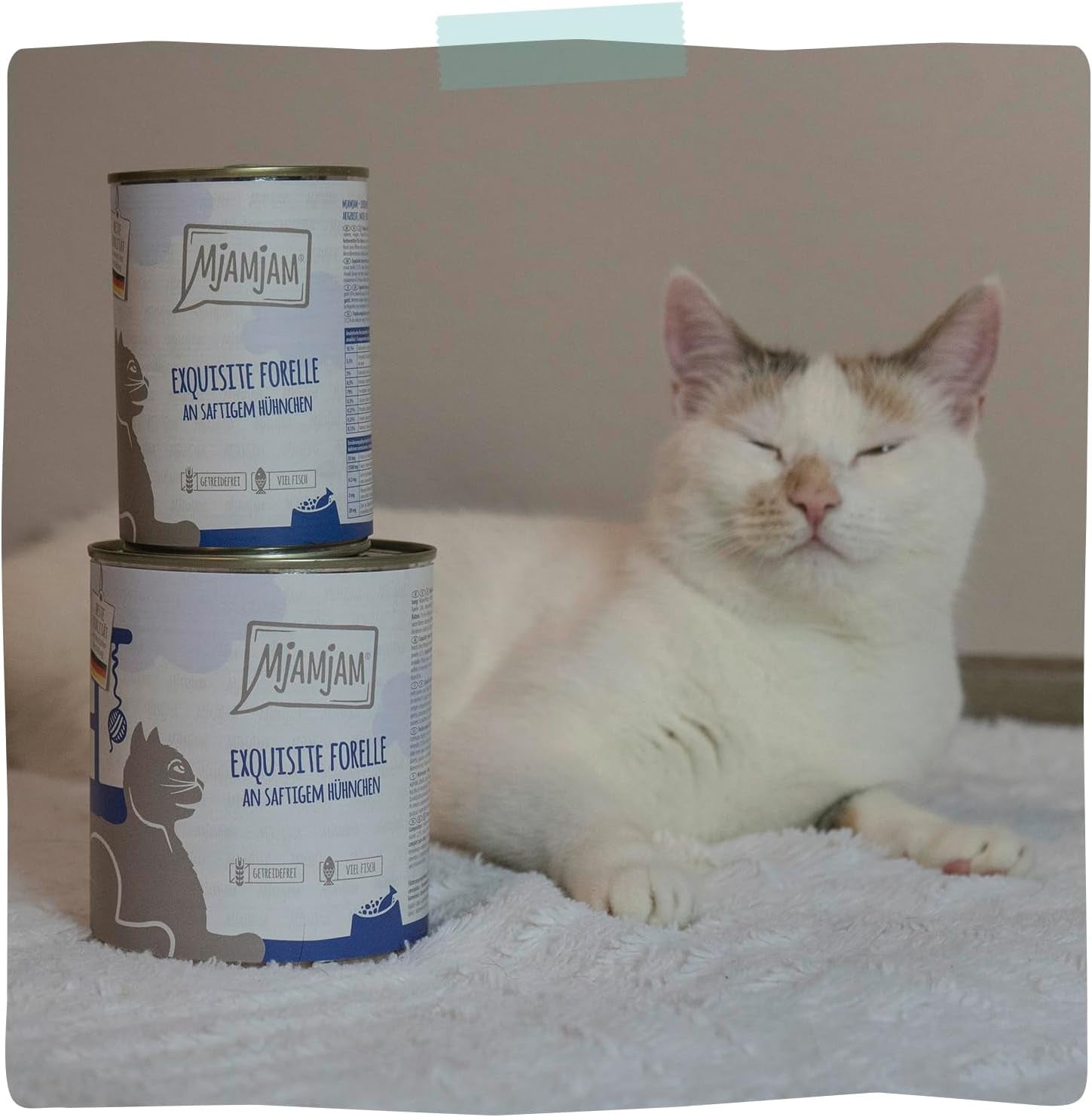 MjAMjAM - Hrană umedă premium pentru pisici - păstrăv rafinat cu pui suculent, pachet de 6 (6 x 400g), fără cereale