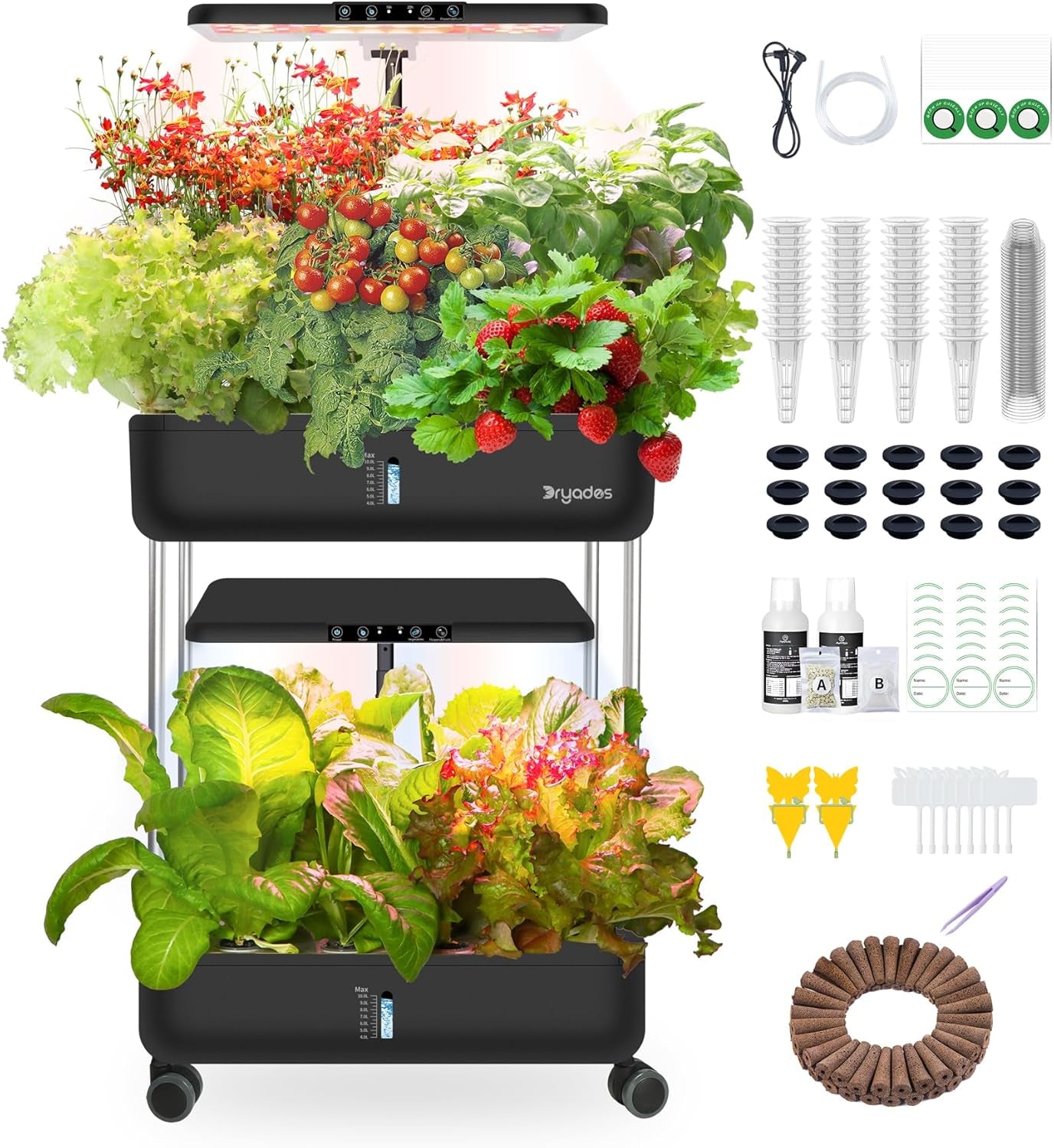 Hydroponic Grow System: 8 kapslí, 24W Full Spectrum LED Lamp s upozorněním na nízkou hladinu vody | Vnitřní zahrada pro kuchyň, obývací pokoj, školu | Tip na dárek pro amatérské zahradníky