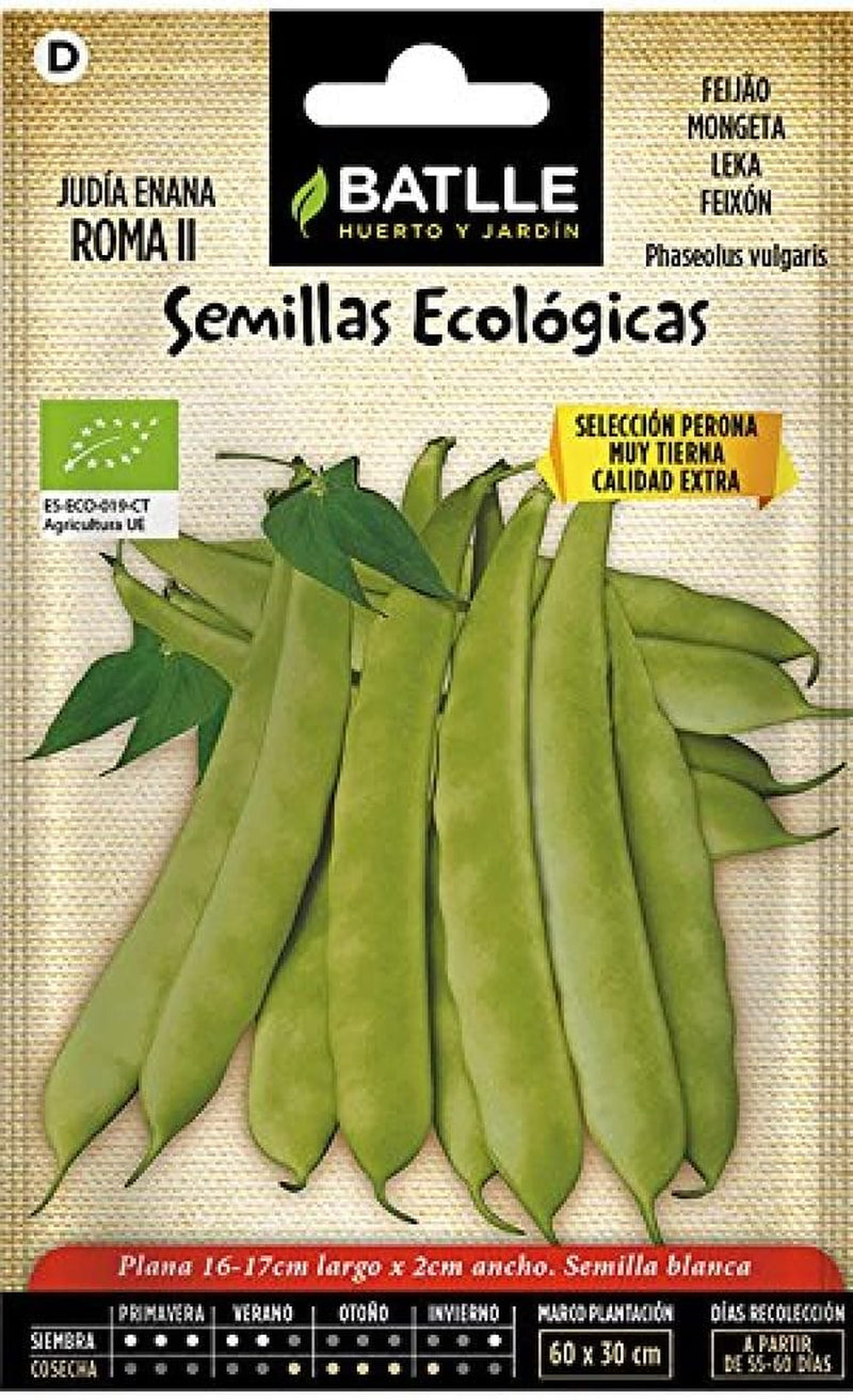 Jüdische Rom SEL.PERONA - ECO