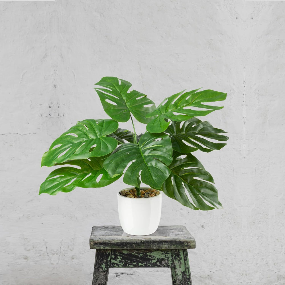 PASCH® 4Er Set Tropische Kunstpflanzen Wie Echt (35Cm) in Weißen Keramiktöpfen: U.A. Monstera Künstlich & Areca Kunstpalme | Künstliche Pflanzen Im Topf | Fake Plant | Kunstblumen Im Topf