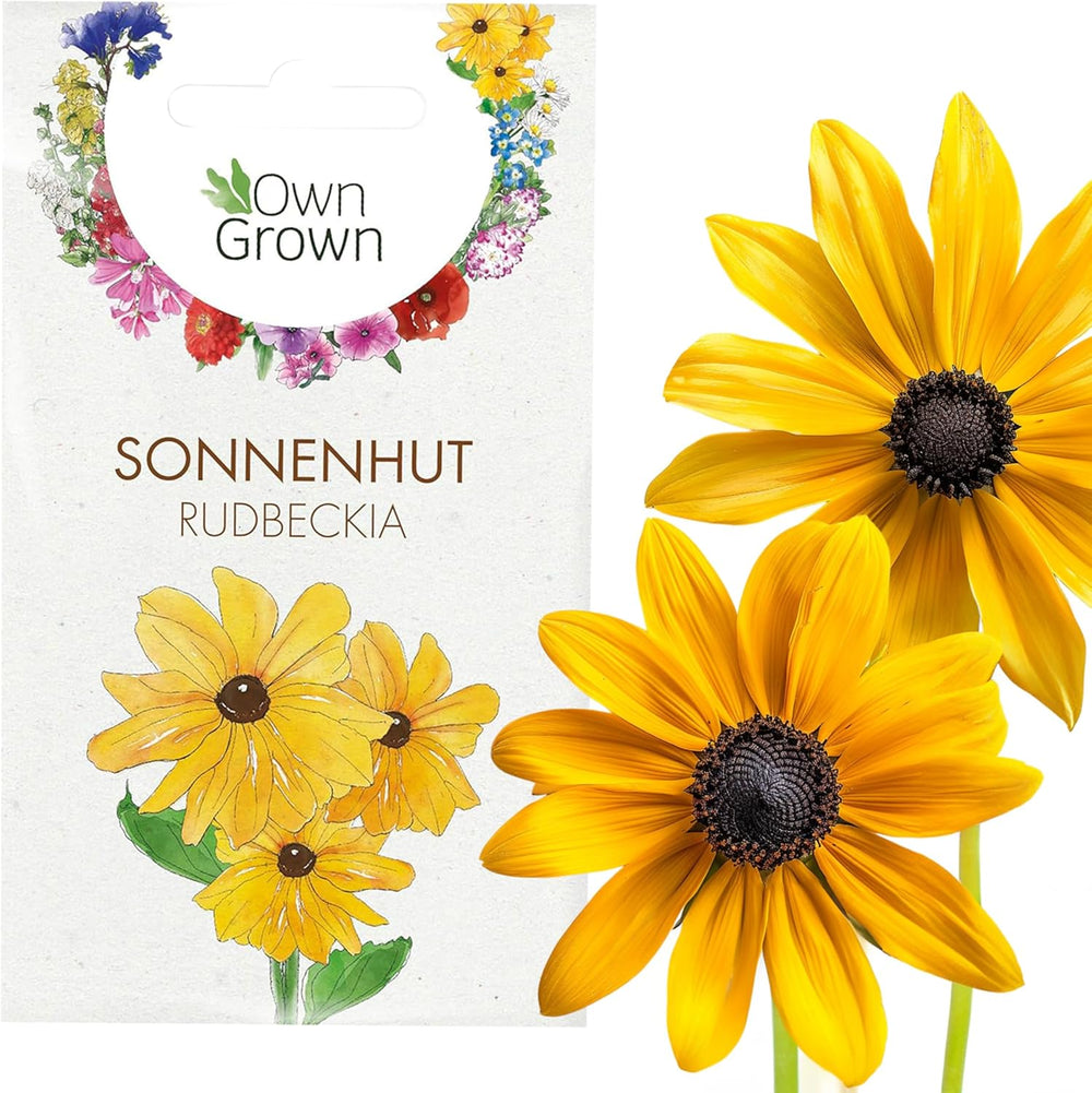 Semena echinacey: Prémiová semínka žluté echinacey pro asi 20 kvetoucích rostlin echinacey – Semena rudbeckie – Hardy Rudbeckia – Trvalky Echinacea – Hardy trvalky od OwnGrown