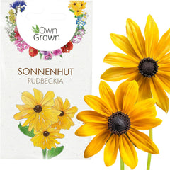 Semena echinacey: Prémiová semínka žluté echinacey pro asi 20 kvetoucích rostlin echinacey – Semena rudbeckie – Hardy Rudbeckia – Trvalky Echinacea – Hardy trvalky od OwnGrown