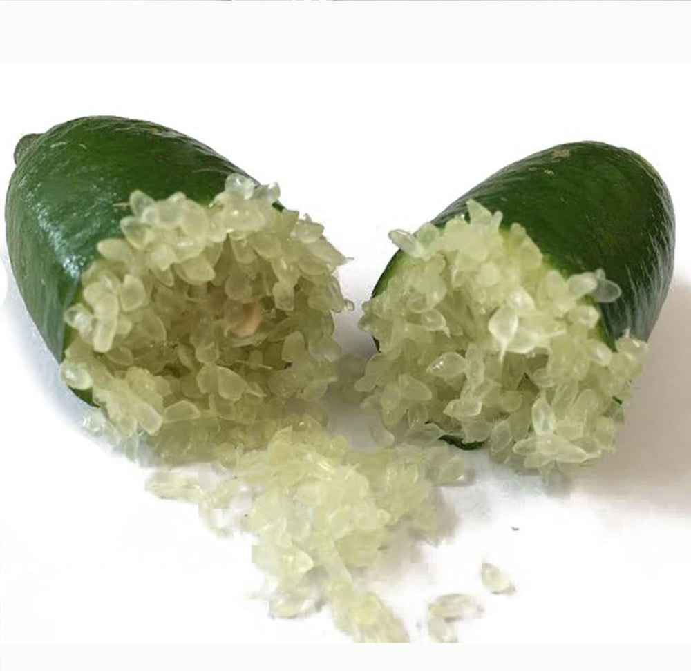 SAVINI VIVAI Zitronenpflanze, Grüner Kaviar, Faustrime, Zitrusbaum, Fingerlimette, Zitronensetzling Im Topf, 20 Cm, Höhe 50–70 Cm, 2 Jahre Veredelung, Hergestellt in Italien