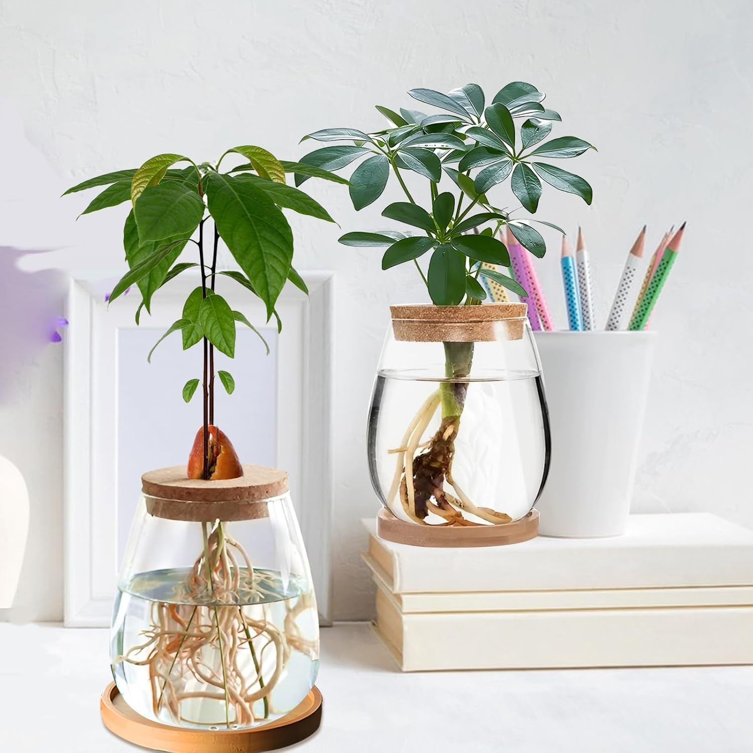Hydroponická rostlinná pěstovací stanice, 12 x 11 cm, váza se semeny avokáda, skleněný květináč, skleněná hydroponická váza pro vodní rostliny nebo květiny, kancelářský stůl, 2 kusy
