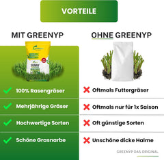 Greenyp® Sunny I Dürreresistenter Trockenrasen I 0,2Kg Für 10M² I Grassamen Rasensamen Rasensaat Gras Nachsaat Schnellkeimend
