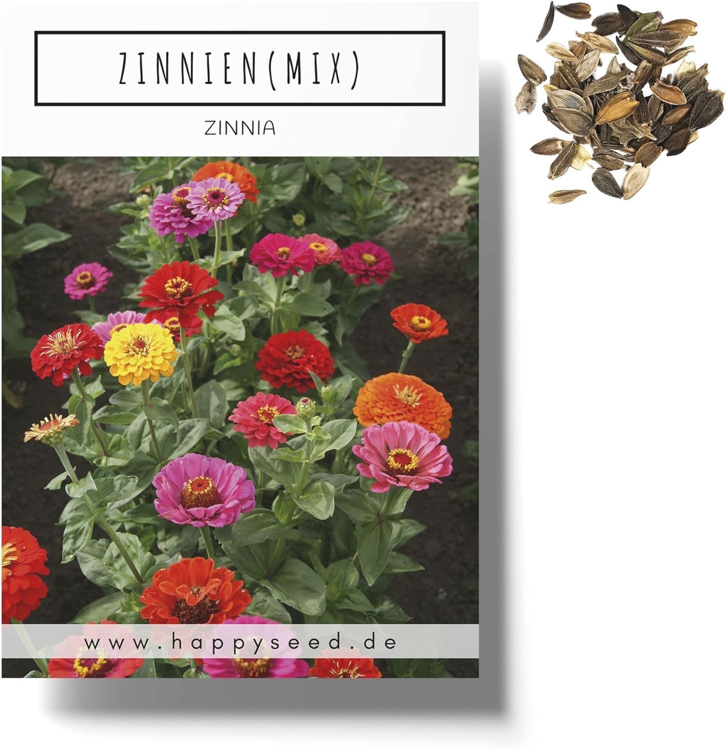 Směs semen cínie (Zinnia) - Barevné letní květiny na zahradní záhon, balkon, terasu i jako řezané květiny do váz