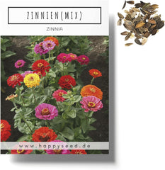 Směs semen cínie (Zinnia) - Barevné letní květiny na zahradní záhon, balkon, terasu i jako řezané květiny do váz