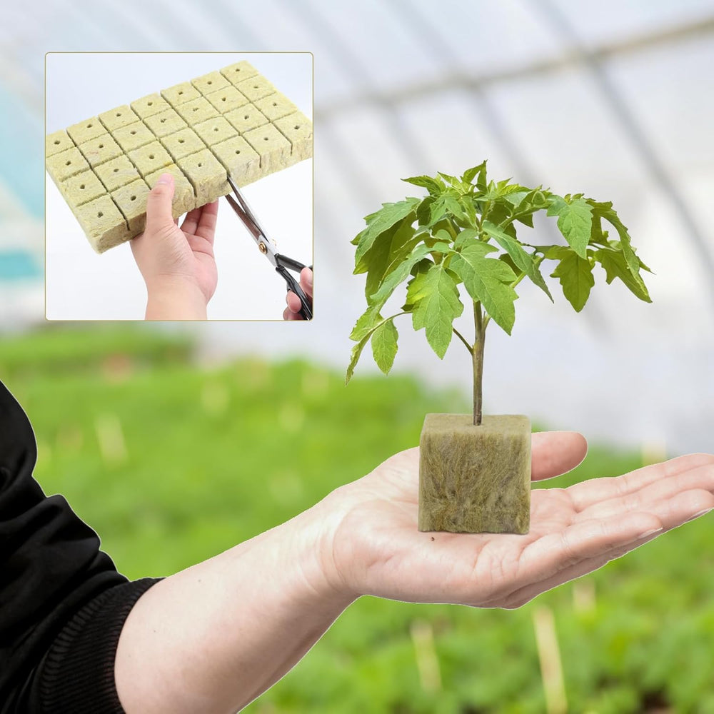 100 rozmnožovacích kostek Rockwool 25x25x25mm s rukavicemi Izolace Rockwool Snadná zásuvka Kostky rozmnožování Hydroponie Kostky Rockwool Odřezky Bezpůdné rozmnožování