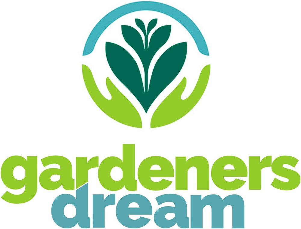 Gardeners Dream: 4 skutečné rostliny Tillandsie - 4 skutečné rostliny Tillandsia Air Plants - Terarijní rostliny - Dekorativní rostliny do terária - Pokojové rostliny na čištění vzduchu - Dekorativní rostliny - Skutečné rostliny